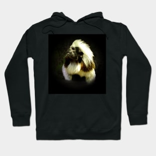 Cotton-top tamarin Hoodie